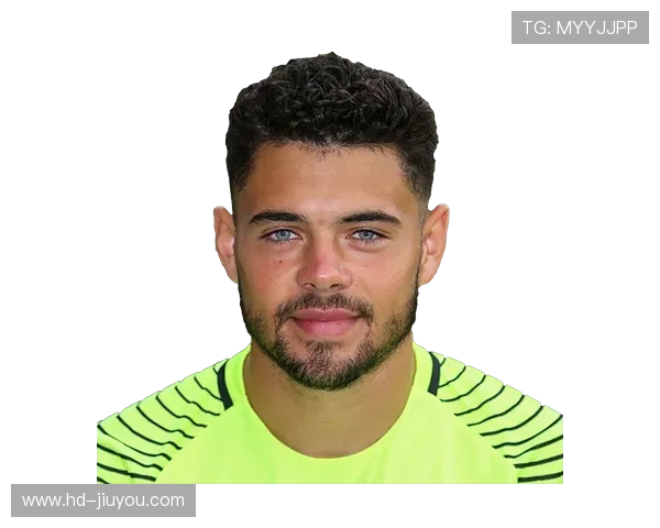 足球数据科学家职业，分析技能需求上升